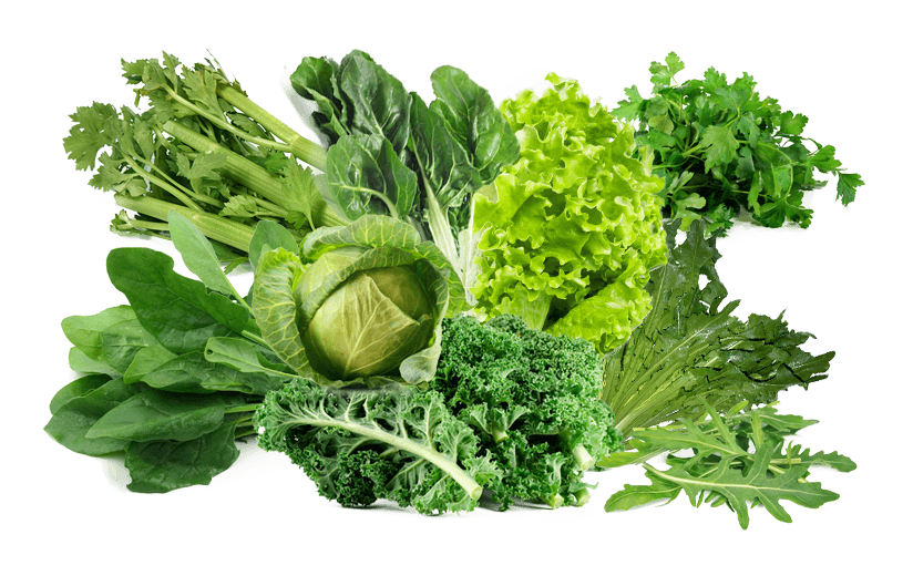Fresh exotic vegetables from Ooty farms