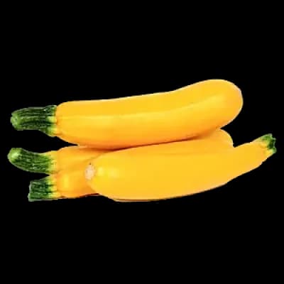 Zucchini Yellow