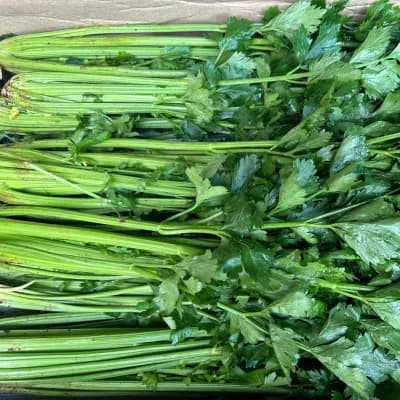 Celery