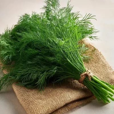 Dill leaves