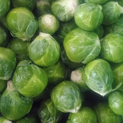 Brussel Sprouts