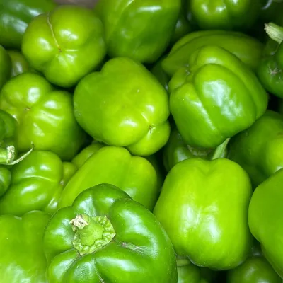 Capsicum Green